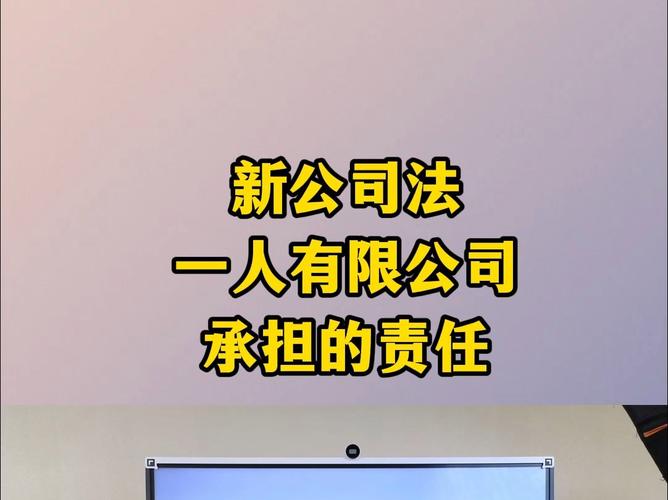 一人有限责任公司注册全流程指南：从设立到财税管理