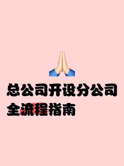 设立分公司去哪里办理？一站式指南助您高效完成手续