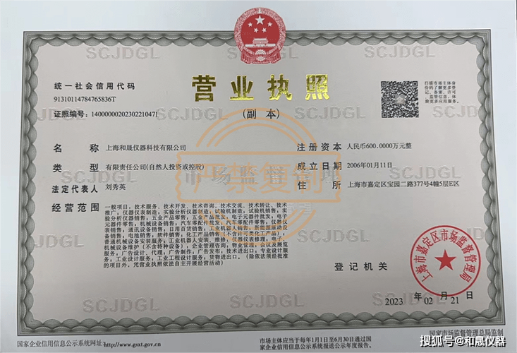 上海营业执照办理指南：流程、地点及常见问题解答