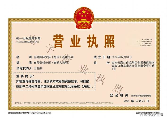 海南代办营业执照公司：专业服务指南与常见问题解答