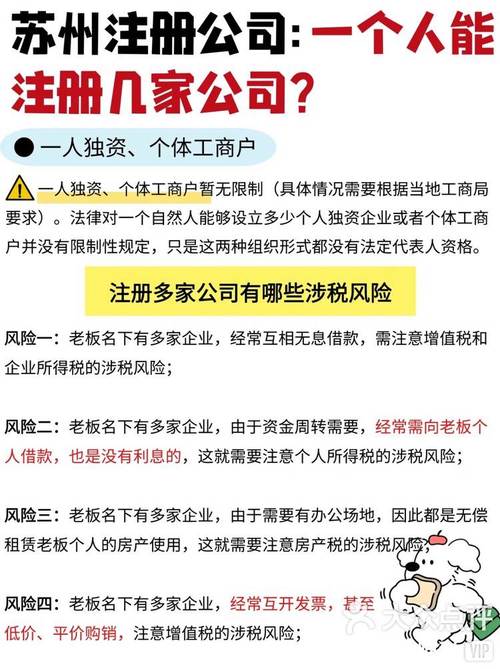 有限公司注册需要几个人？财税助手将为您详细解析流程与注意事项