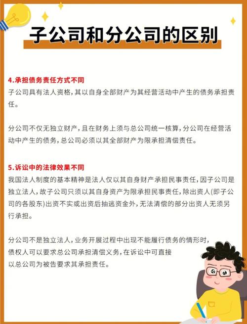 什么公司可以设立分公司？财税助手将为您详细解析企业扩张的关键步骤