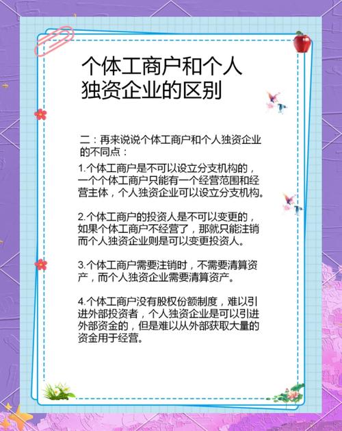 个体户和个人独资企业哪个好？财税助手帮你全面对比分析