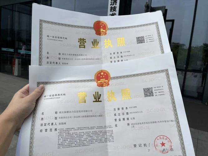 北京汽车租赁营业执照办理指南：流程、条件及常见问题